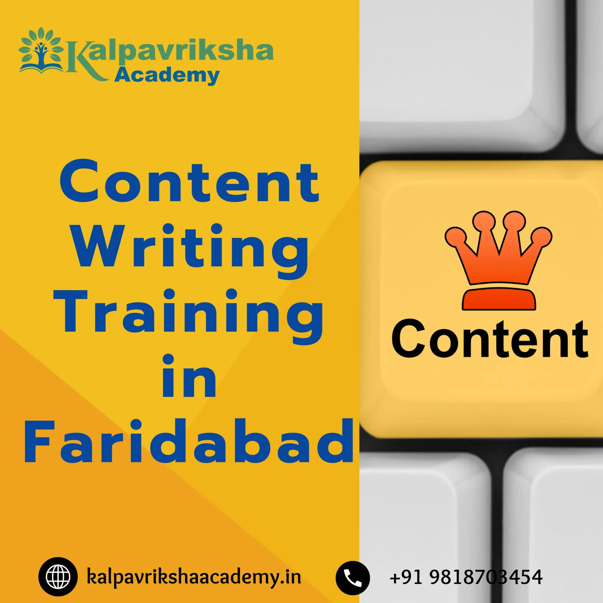 Online Content Writing Training in Faridabad